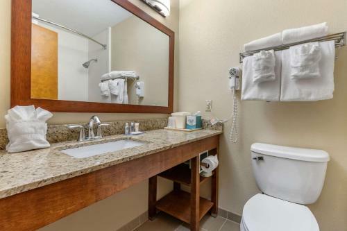Hotel Comfort Inn Clemson - University Area