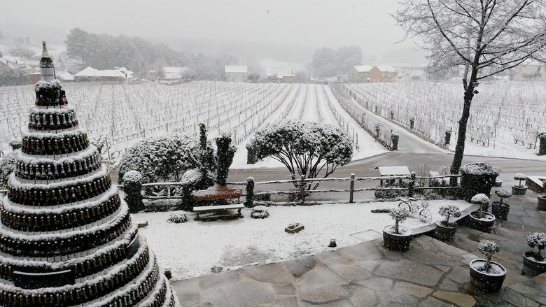 Agroturismo Prada A Tope - Palacio De Canedo