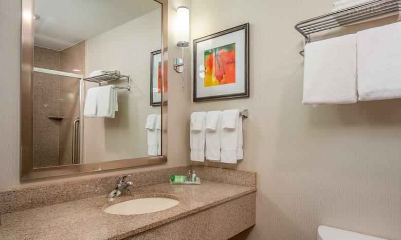 Hotel Holiday Inn Stevens Point - Convention Center