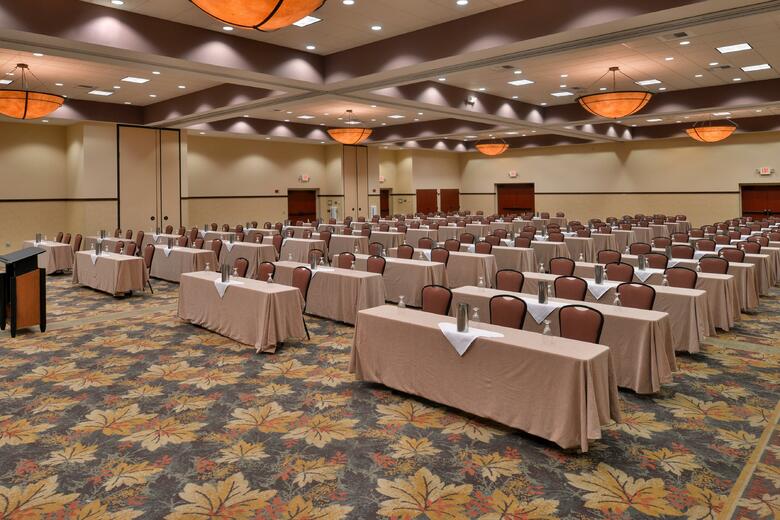 Hotel Holiday Inn Stevens Point - Convention Center