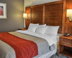 Hotel Comfort Inn - Ruther Glen