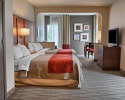 Hotel Comfort Inn - Ruther Glen