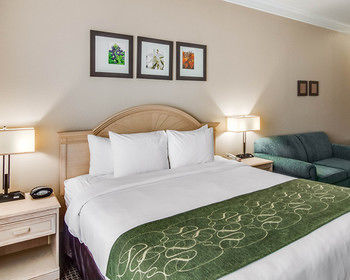 Hotel Comfort Suites Kingwood/humble