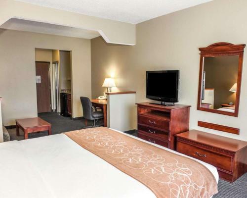 Hotel Comfort Suites Auburn