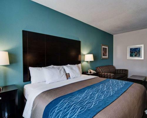 Hotel Comfort Inn Mount Airy