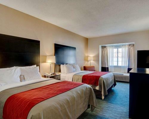 Hotel Comfort Inn Mount Airy