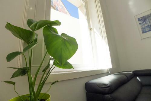 Apartments In Chiado