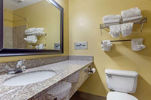 Hotel Econo Lodge Williamston