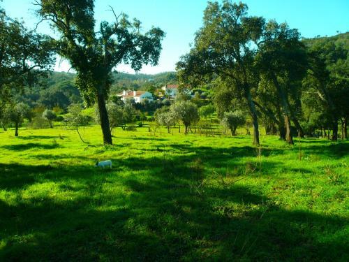 Agroturismo Olival Das Hortas