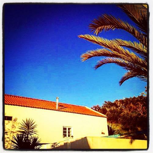 Agroturismo Olival Das Hortas
