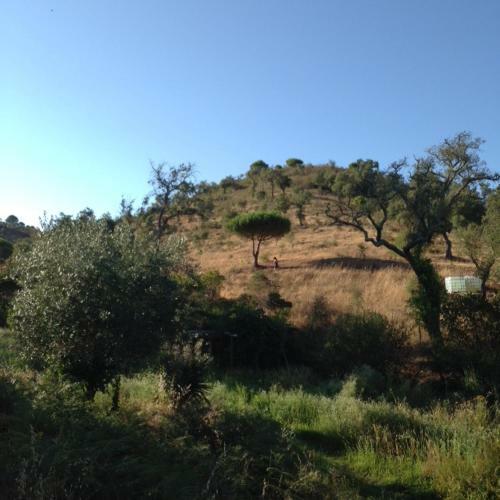 Agroturismo Olival Das Hortas