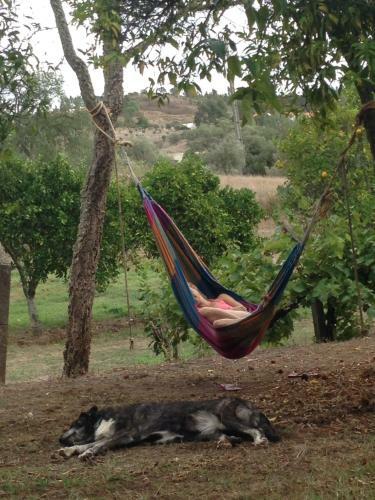 Agroturismo Olival Das Hortas