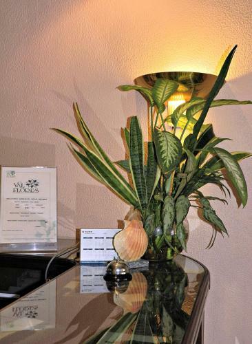 Hotel Val Flores