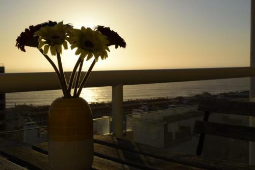 Albergue Arthouse Surf Ericeira