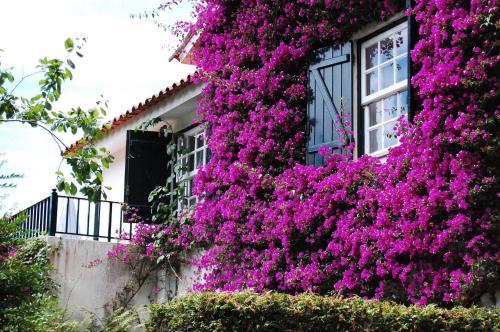 Agroturismo Casa De Esteiro