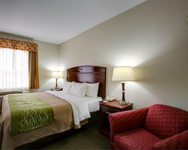Hotel Comfort Inn Rockdale