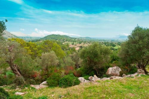 Villa Can Guillo