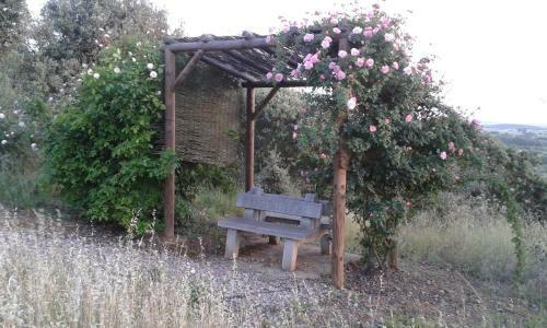 Holiday Home Monte Das Azinheiras