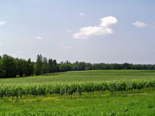 Bed & Breakfast La Maison Des Aur�lines