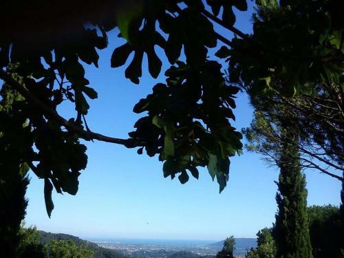 B&B La Costa