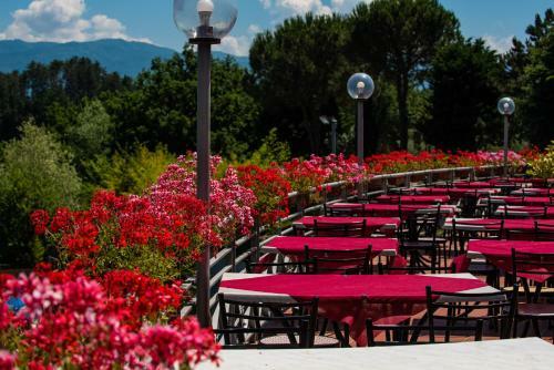 Hotel Camping Village Il Poggetto