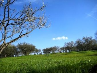 Agroturismo Villa Colle Di Rocco