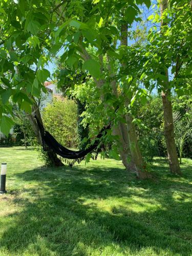 Country House Villas Santar�m