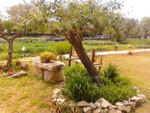Agroturismo Retiro Da Avo L�dia - Turismo Rural