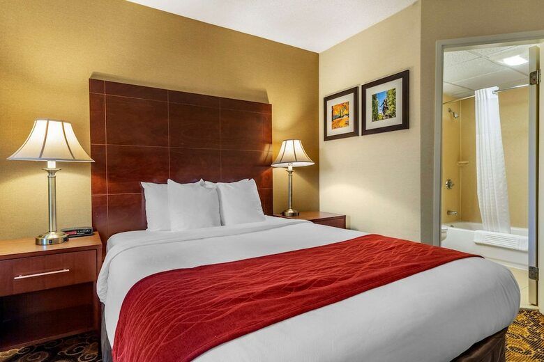 Hotel Comfort Inn Boston / Rockland