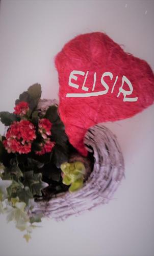 B&B Elisir