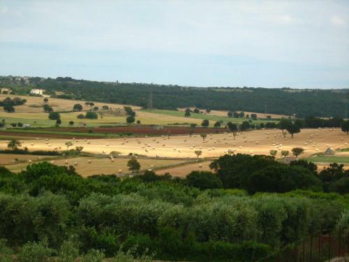 Agroturismo Masseria Torricella