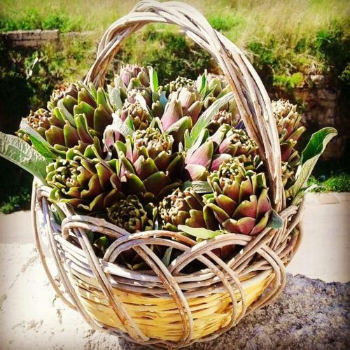 Bed & Breakfast Masseria Delle Rose