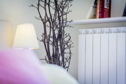 Bed & Breakfast Mandarinoarancio