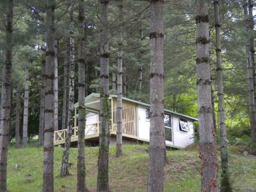 Camping Parc De Pal�t�s