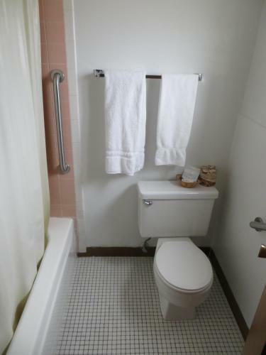 Motel Holiday Lodge