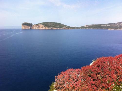 B&B Solelunamare