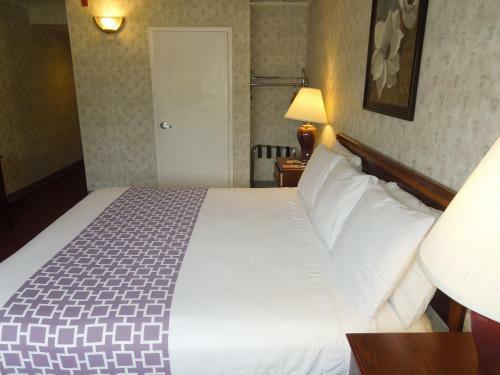 Hotel Econo Lodge Hicksville