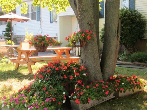 Founder's Brook Motel And Suites