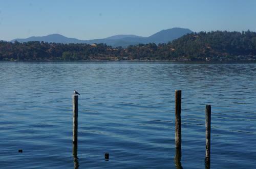 Motel Lake Marina Inn