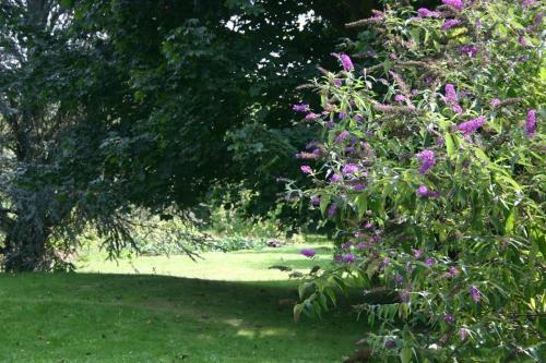 Bed & Breakfast Bois Joli De La Frey�re