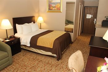 Hotel Comfort Inn Lockport