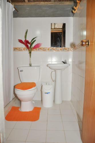Lodge Posadas Ecoturisticas Seineken