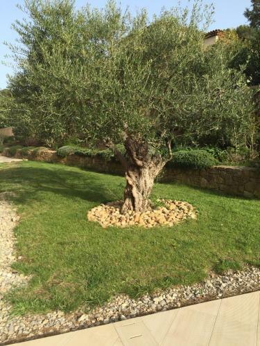 Belle Villa � Saint Rapha�l Dans Clos Priv�