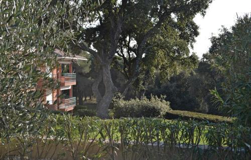Apartment Saint Rapha�l 31