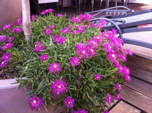 B&B - Chambres D'h�tes Le Foch