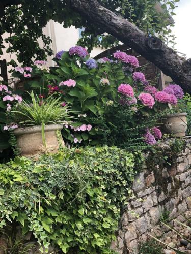 Apartamento Appart D'h�tes Brive