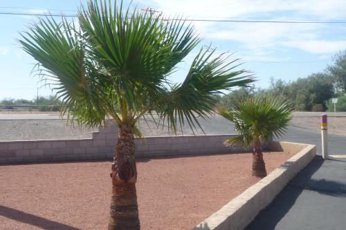 Yucca Motel