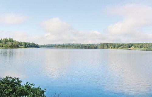Holiday Home B�ckshult Gnosj�