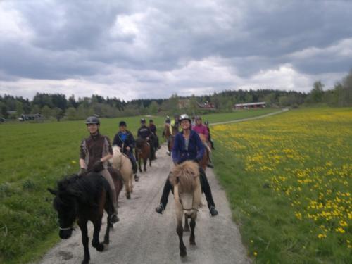 �lgbergets Bed & Breakfast