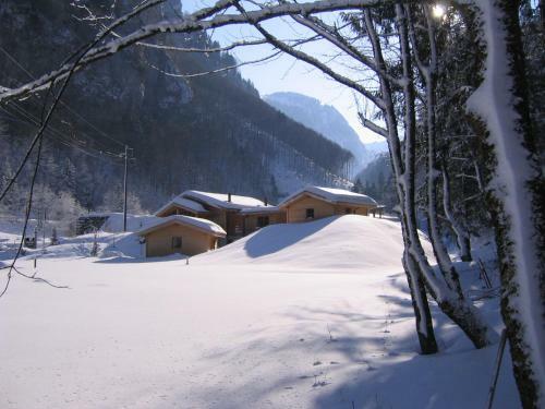 H�ttenhotel Husky Lodge